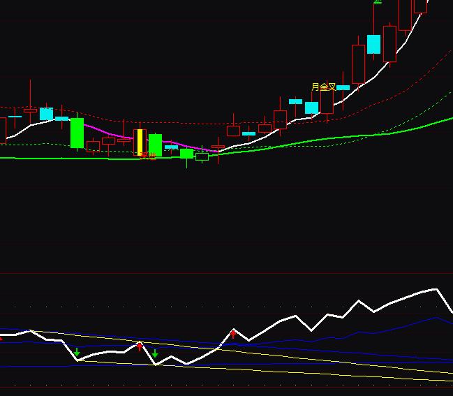 ͨ_(d)rsiָͬ(bio)ʽ